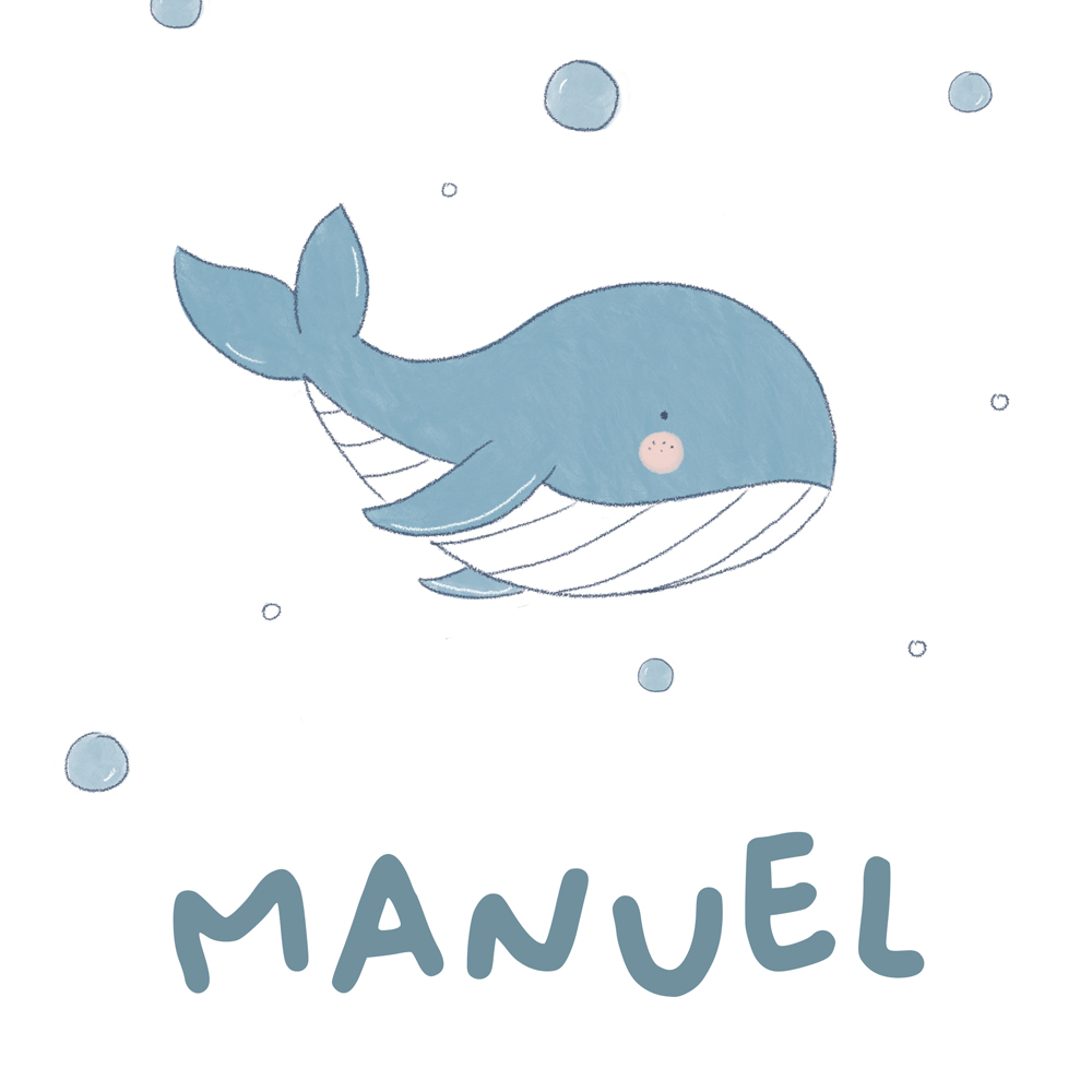 Lámina de Nacimiento Ballena Lámina de Nacimiento Ballena