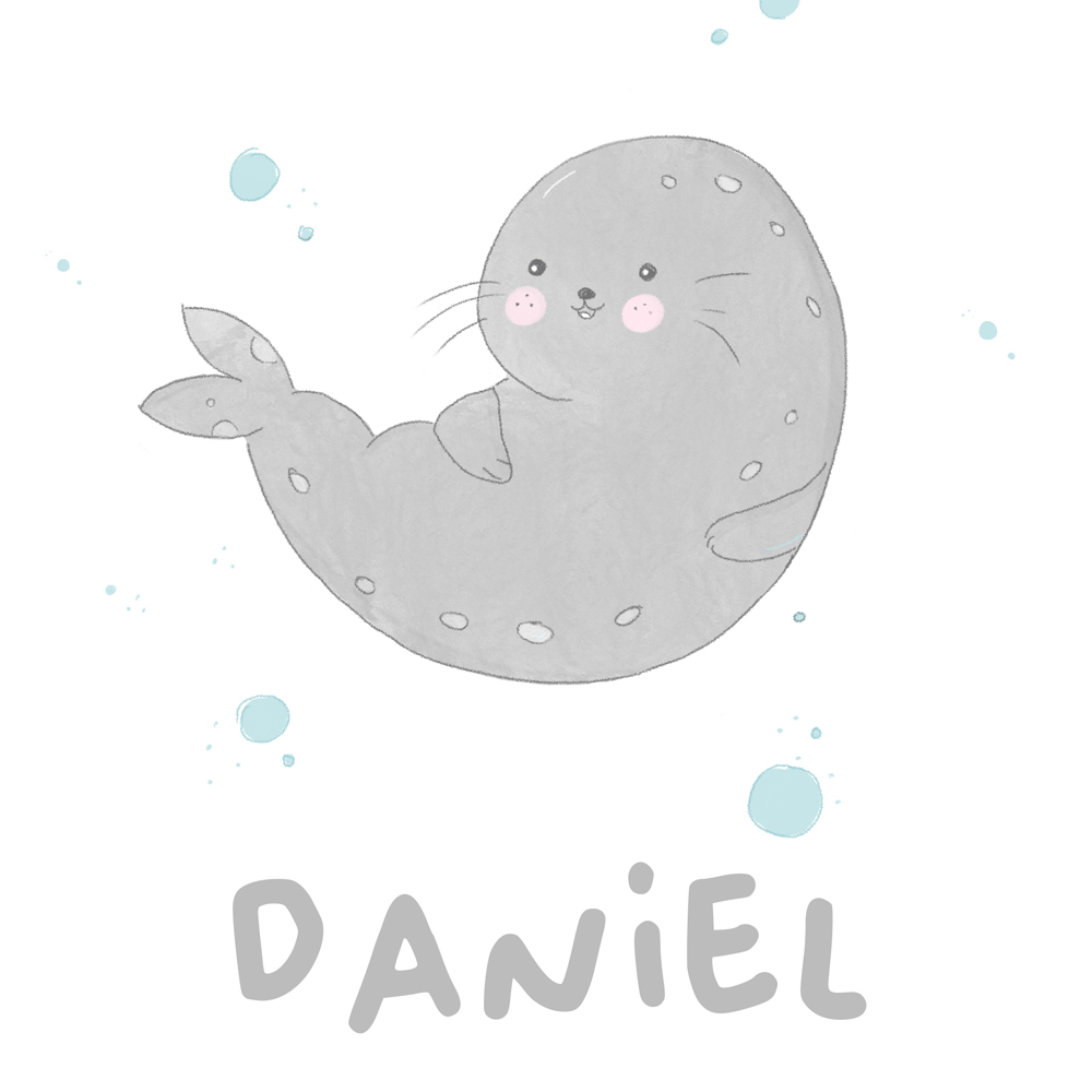 Lámina Nacimiento Foca Lámina Nacimiento Foca