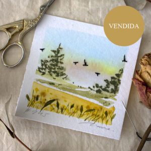 Vendida