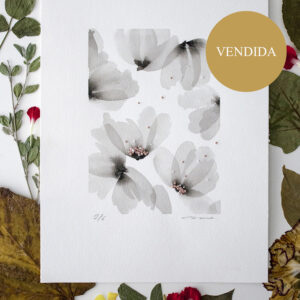 Vendida